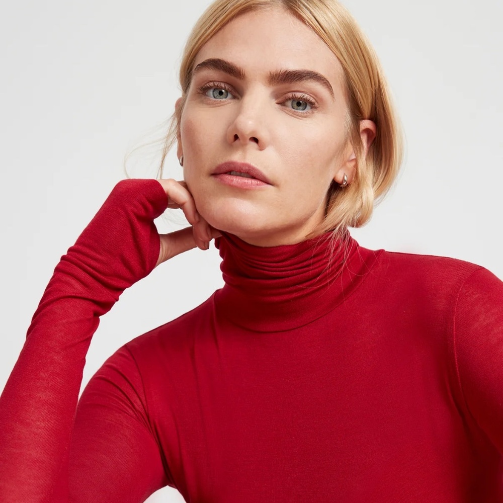Eloise Sheer Turtleneck Long Sleeve Sheer  Marcella